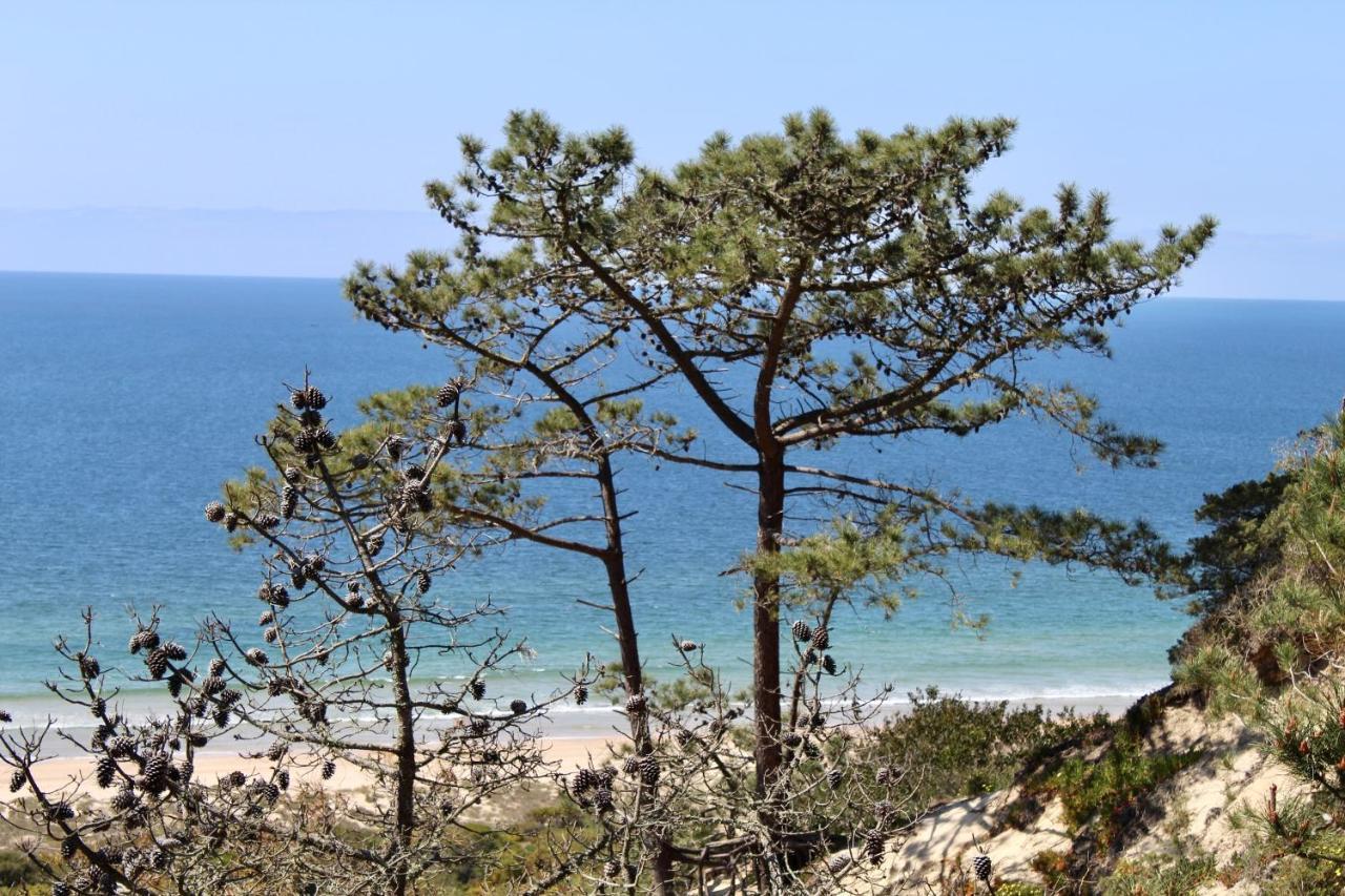 Aroeira Palm Beach Villa Dış mekan fotoğraf